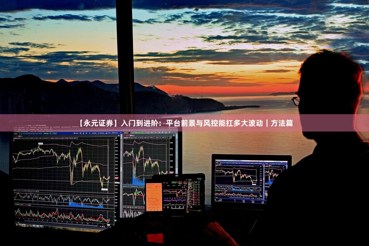 【永元证券】入门到进阶：平台前景与风控能扛多大波动｜方法篇